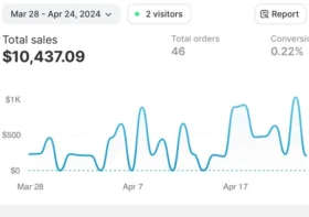 Dropshipping Income Report: How Much Beginners Actually Make in Month 1